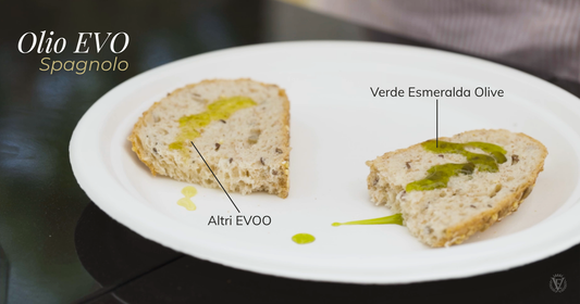 Come riconoscere un buon olio extravergine di oliva spagnolo
