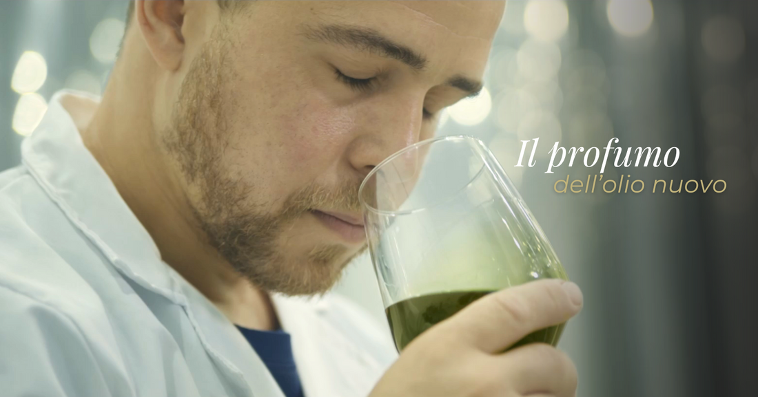 Olio Spagna: viaggio tra oleoturismo e tradizione a Jaén