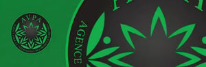 CERTIFICATE MEDIUM GREEN FROITY – FRANCE 2013